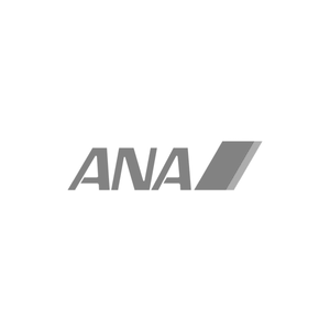 ANA company logo